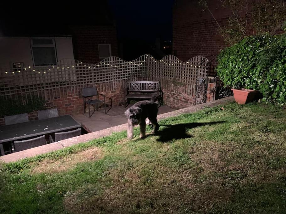 Award Winning Pet Friendly Paddock Cottage Whitby Luaran gambar