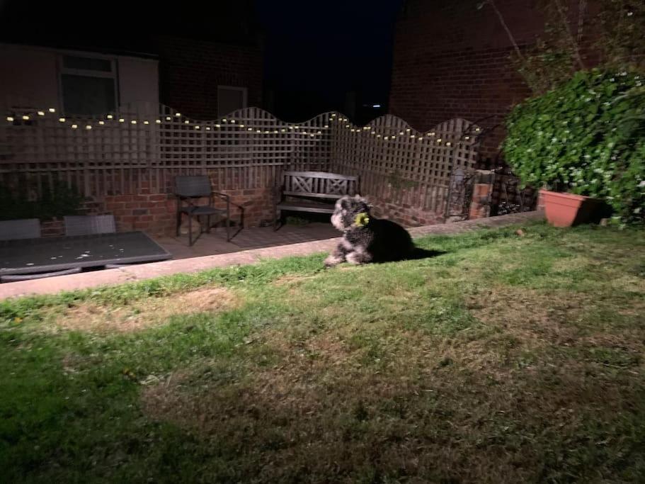Award Winning Pet Friendly Paddock Cottage Whitby Luaran gambar