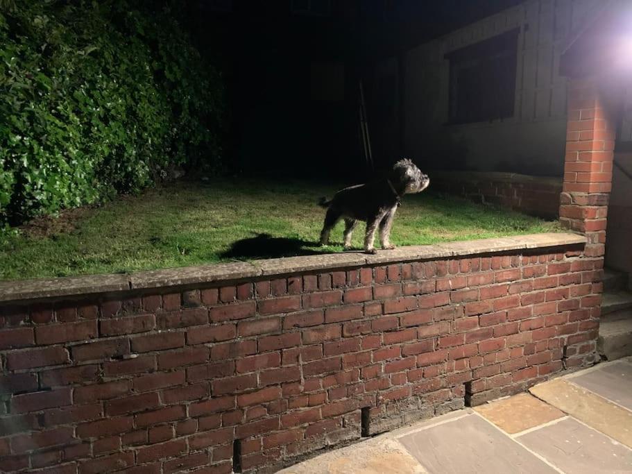 Award Winning Pet Friendly Paddock Cottage Whitby Luaran gambar